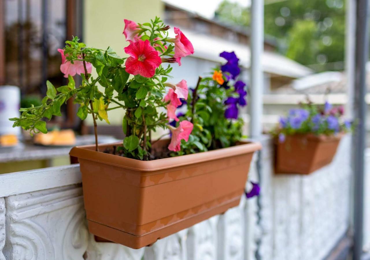 Tsera House Gori Exterior photo