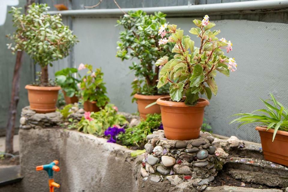 Tsera House Gori Exterior photo